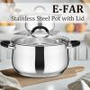 imageEfar 6 QT Stainless Steel Pot Stock Cooking Pot with Visible Lid for Simmering Soup Pasta TriPly Thick Base for Induction Gas Dual Silicone Handles for Heat Proof NonToxic ampamp Dishwasher Safe6 Quart