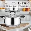 imageEfar 6 QT Stainless Steel Pot Stock Cooking Pot with Visible Lid for Simmering Soup Pasta TriPly Thick Base for Induction Gas Dual Silicone Handles for Heat Proof NonToxic ampamp Dishwasher Safe4 Quart