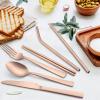 imageMatte Copper Travel Utensils with Case Efar 8Piece Reusable Travel Silverware Set Metal Portable Camping Cutlery Flatware Set Includes Knife Fork Spoon Chopsticks Straws Cleaning BrushCopper UtensilsGray Case