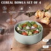 image:imageEfar Cereal Bowls Set of 4 27oz Ceramic Deep Soup Bowls for Kitchen Microwave Safe Bowls for Serving Prep Rice Dessert Snack Salad Dishwasher Safe Speckled MulticolorHaze Gray