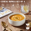 image:imageEfar Cereal Bowls Set of 4 27oz Ceramic Deep Soup Bowls for Kitchen Microwave Safe Bowls for Serving Prep Rice Dessert Snack Salad Dishwasher Safe Speckled MulticolorMulticolor